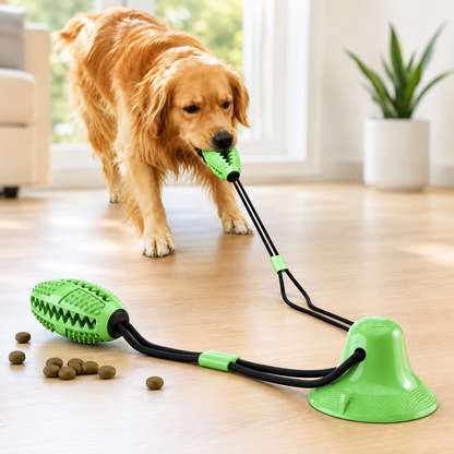 Suction Ball Interactive Dog Toy