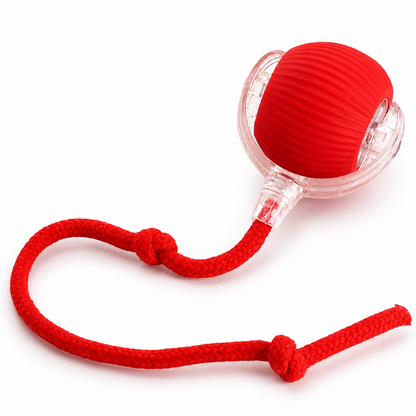 Smart Rolling Pet Ball