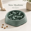 Slow Feeder Pet Bowl