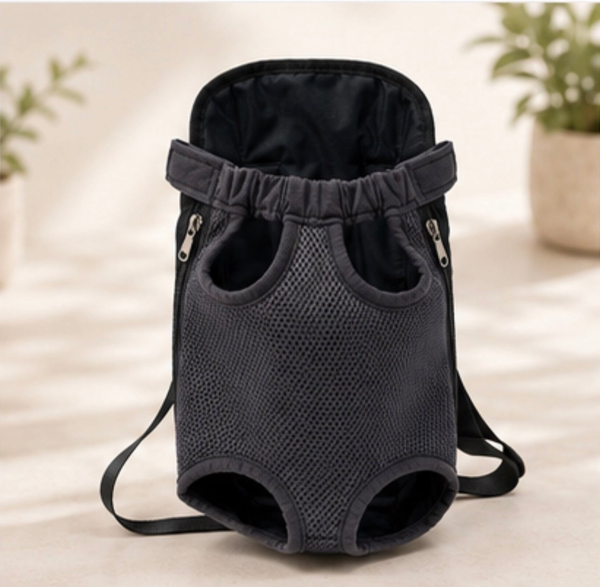 Small dog in a breathable pet travel backpack