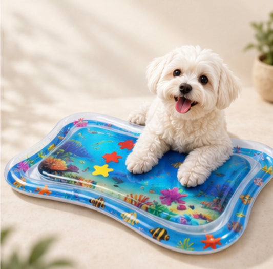 Dog cooling off on an inflatable water play mat