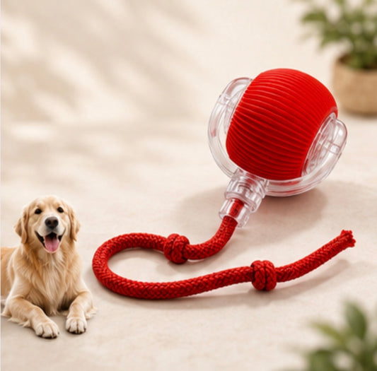 Smart rolling pet ball – interactive self-rolling dog toy