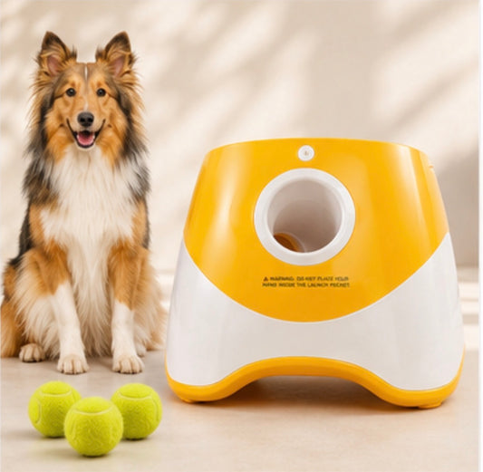 Automatic tennis ball launcher for dogs with balls in the yard